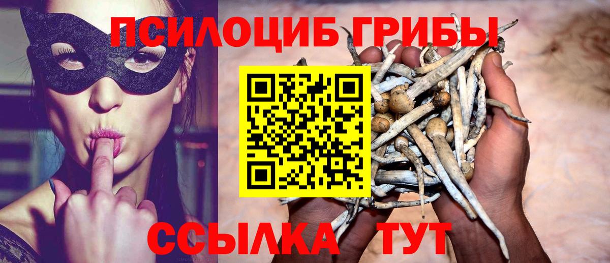 Псилоцибиновые грибы Psilocybine cubensis Нерюнгри