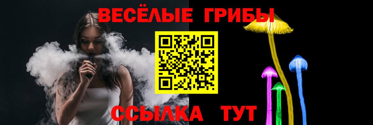 сколько стоит  Вход с VPN  Нерюнгри  Псилоцибиновые грибы ЛСД 